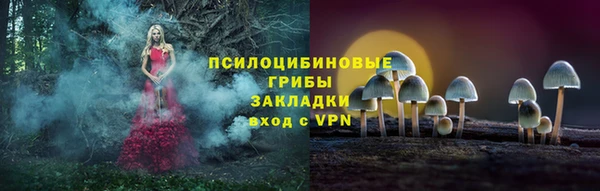 экстази Арсеньев