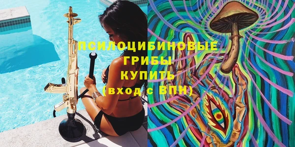 экстази Арсеньев