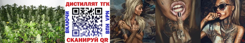 ТГК Wax  где купить   блэк спрут ссылка  Александровск-Сахалинский 