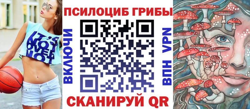мега как войти  Александровск-Сахалинский  Псилоцибиновые грибы Cubensis 